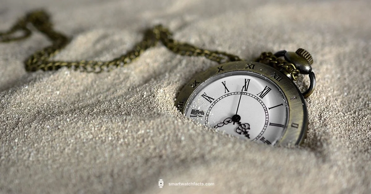 Connect Your Smart Watch - Smartwatch Facts