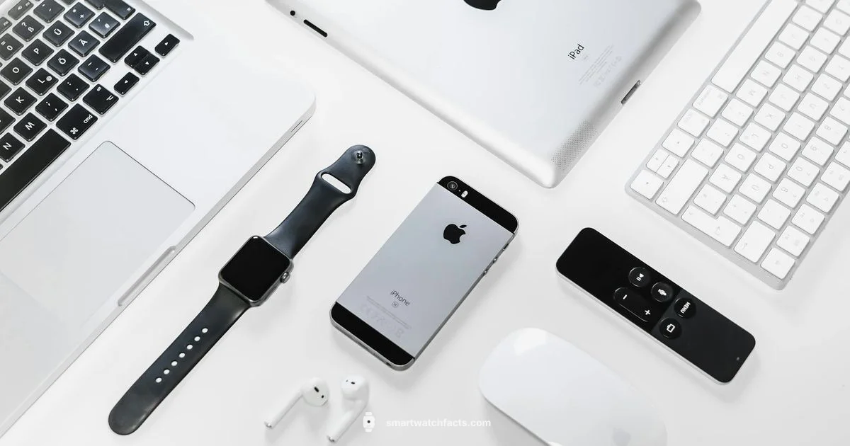 Apple Touch Watch Essentials - Smartwatch Facts