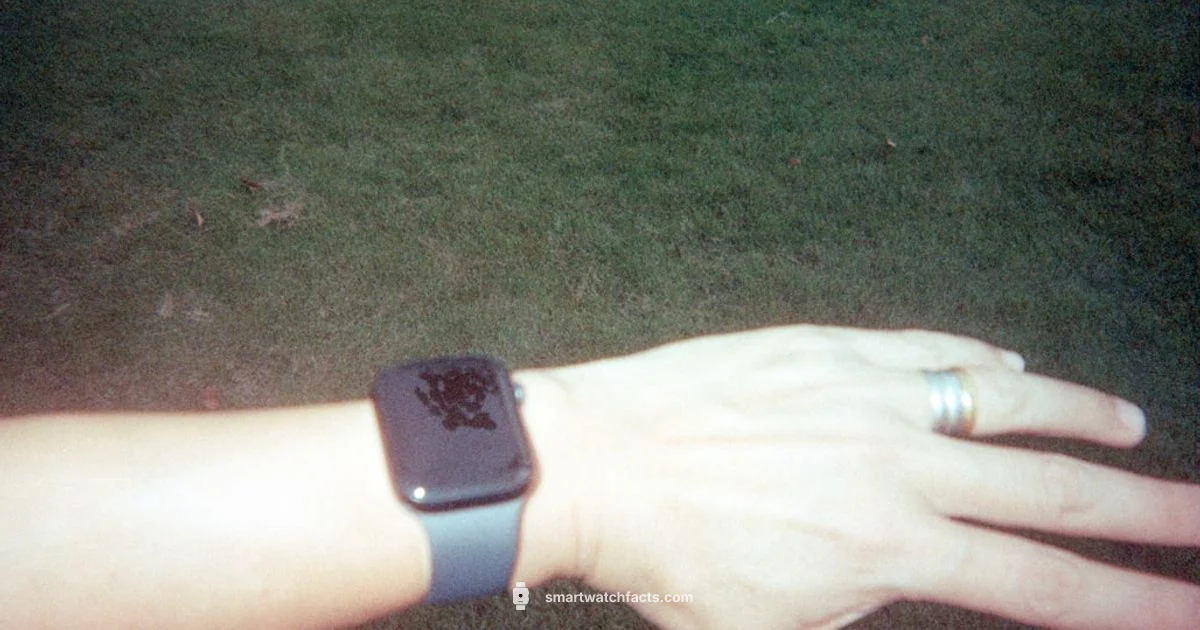 Standalone Smartwatch Guide Standalone Smartwatch Guide - Smartwatch Facts