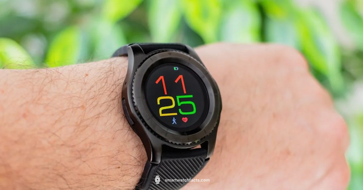 Display Essentials - Smartwatch Facts