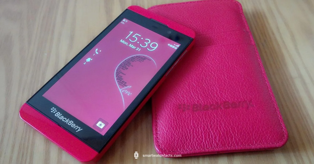 Touch Screen Basics Touch Screen Basics - Smartwatch Facts