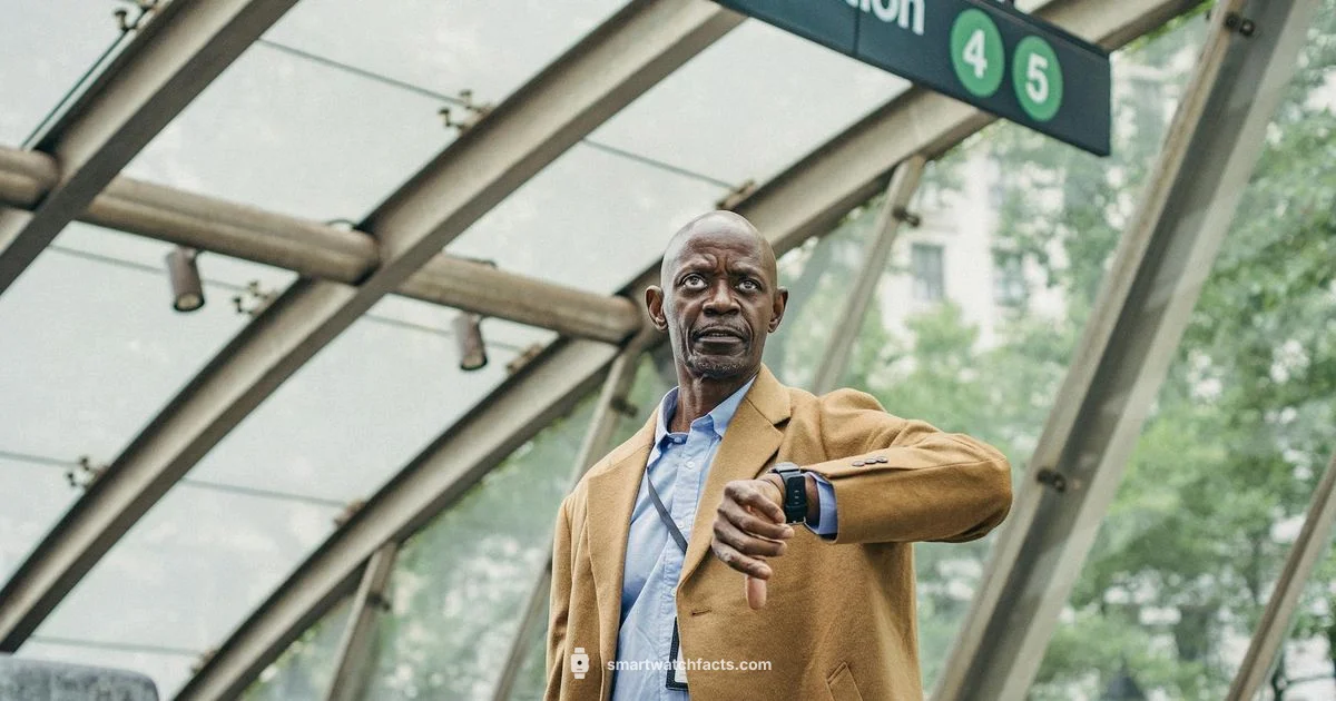 Calling on the Go - Smartwatch Facts