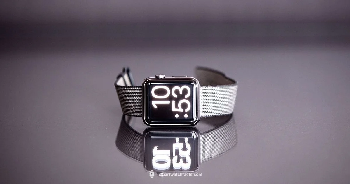 Silver Watch Guide - Smartwatch Facts