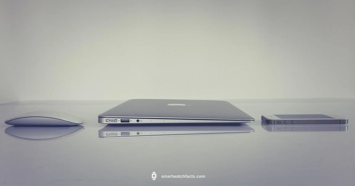 iPhone Setup Guide iPhone Setup Guide - Smartwatch Facts