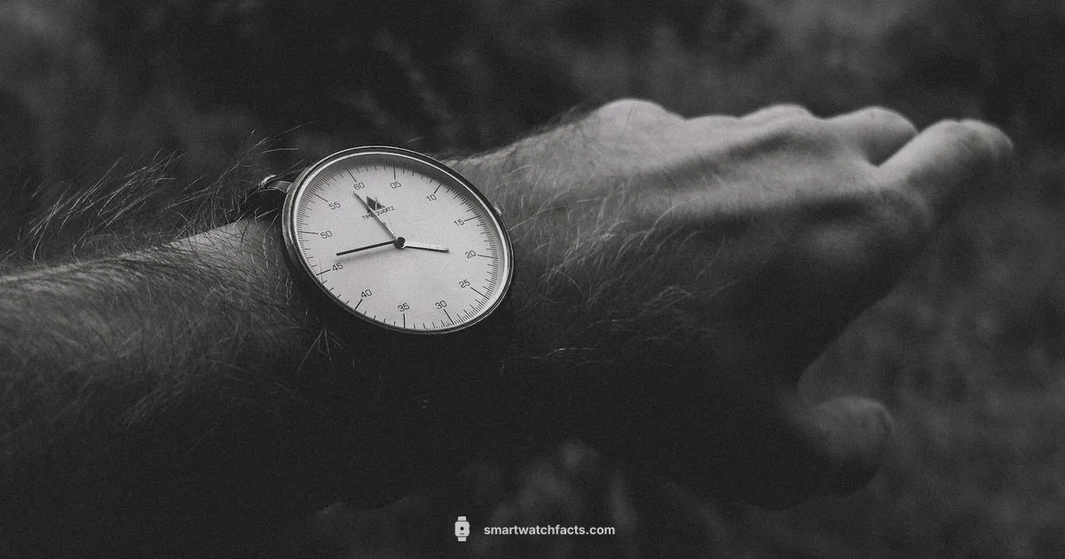 2.88" Display - Smartwatch Facts