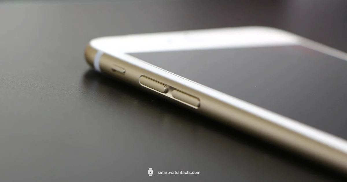 Boat Watch iPhone - Smartwatch Facts