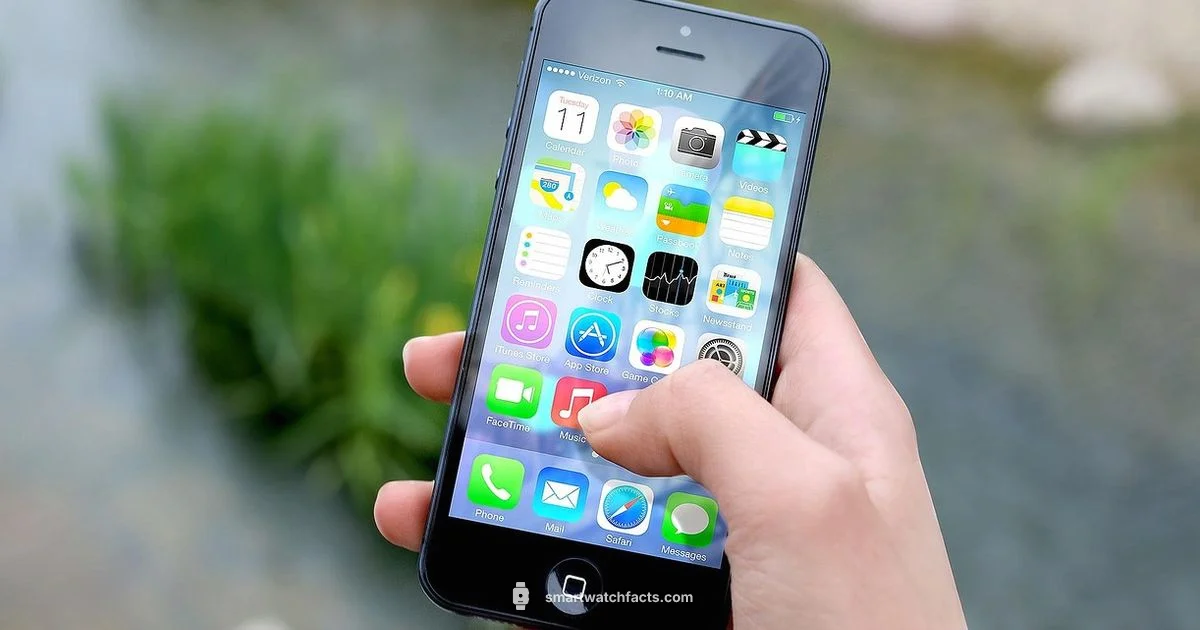 iPhone Compatible Watch - Smartwatch Facts