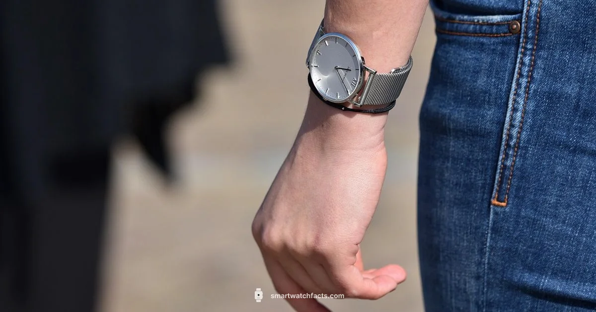 Monthly Costs - Smartwatch Facts