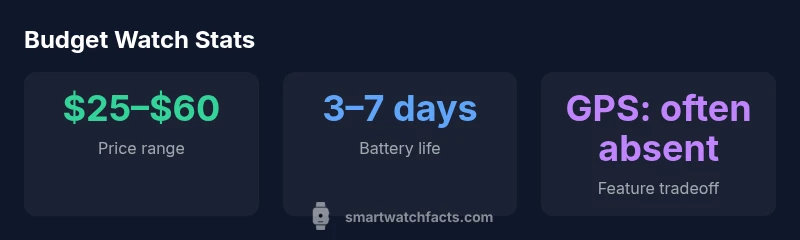 Budget smartwatch statistics visualization