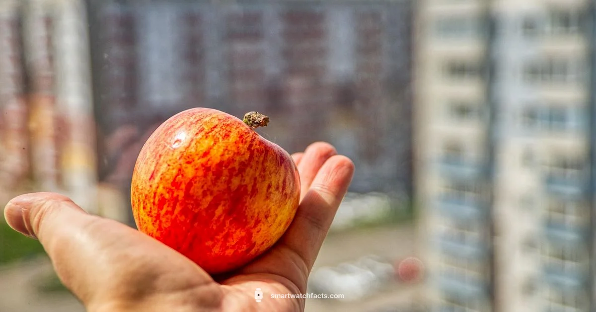 Apple vs Whoop - Smartwatch Facts