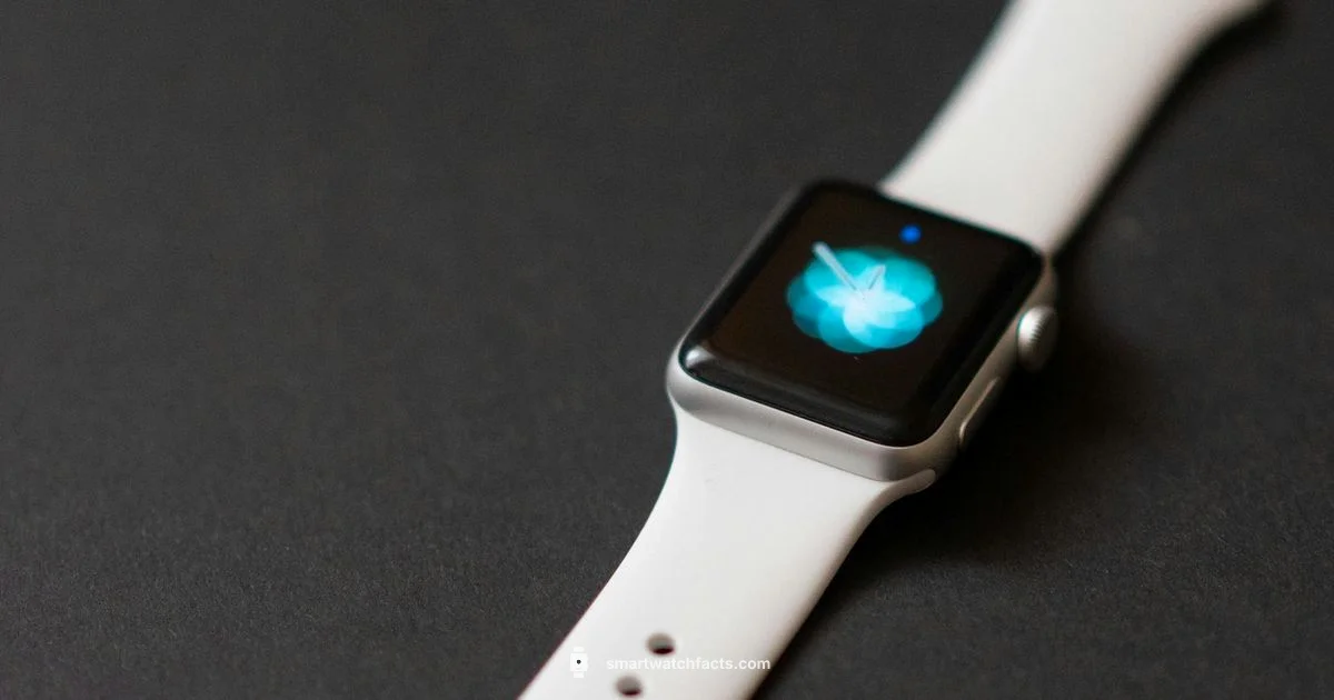 Smartwatch Features - Smartwatch Facts