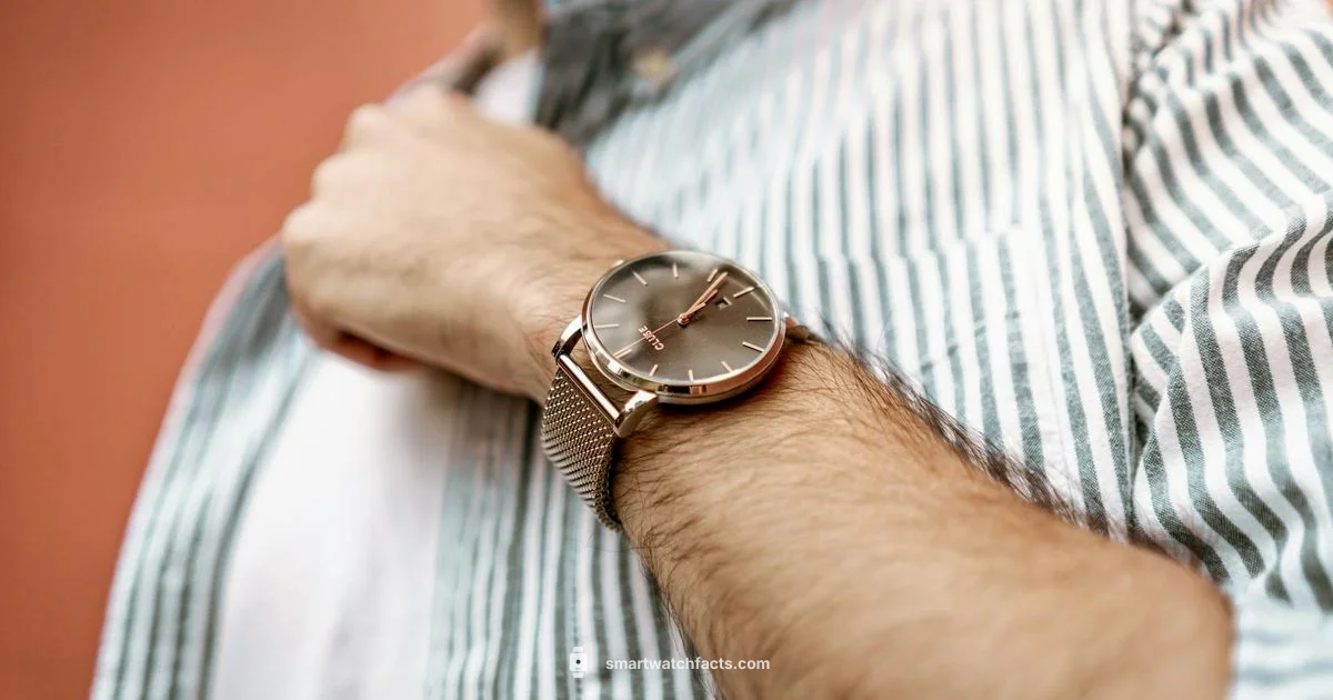 Apple Watch Overview Apple Watch Overview - Smartwatch Facts