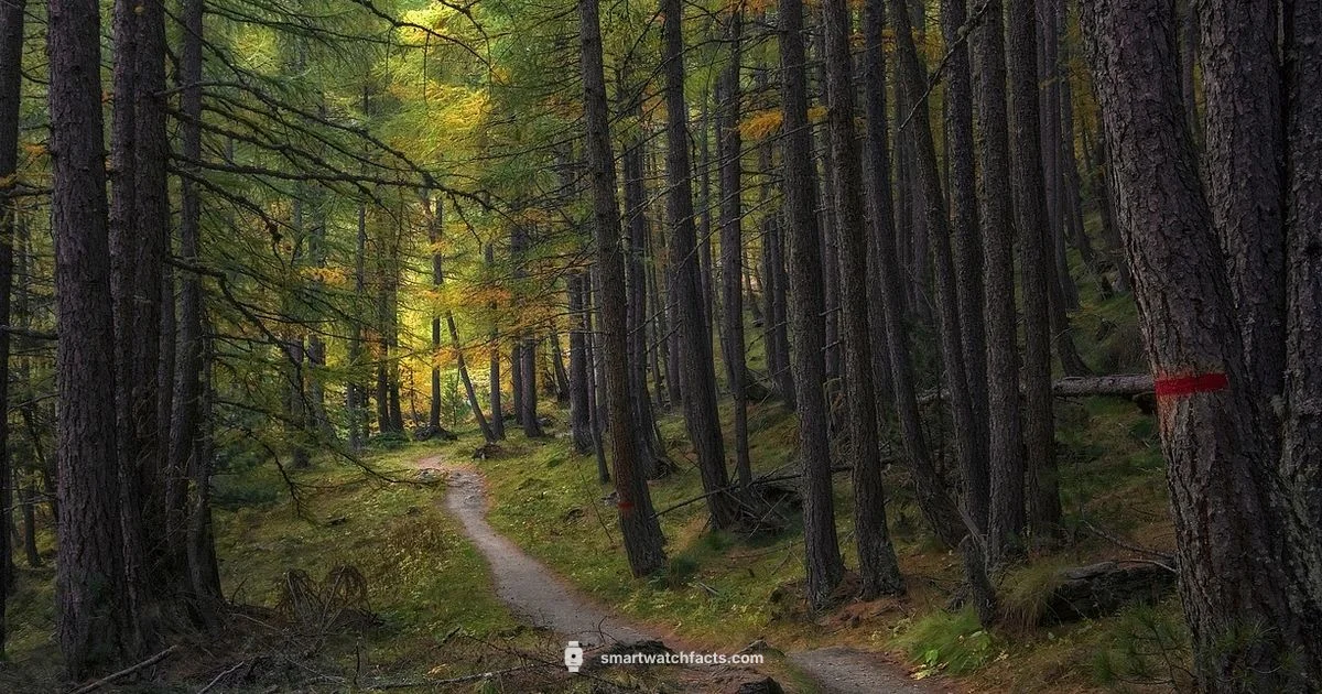 Casio Pro Trek Smart - Smartwatch Facts