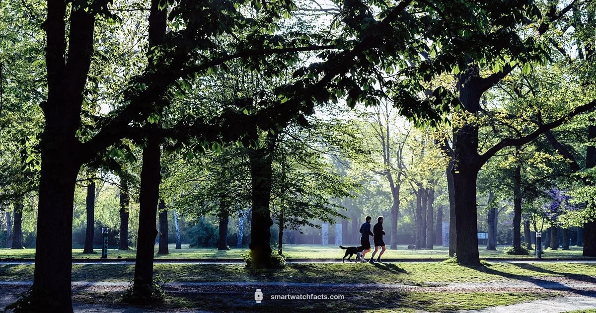 Step Tracking Picks Step Tracking Picks - Smartwatch Facts