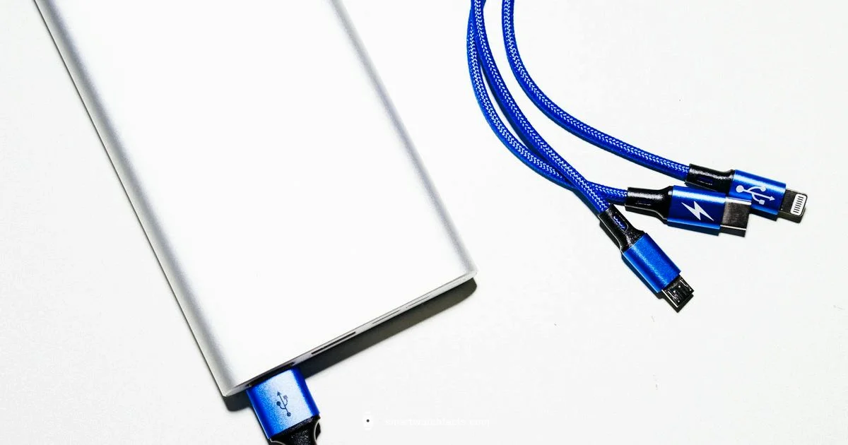 USB C Guide - Smartwatch Facts