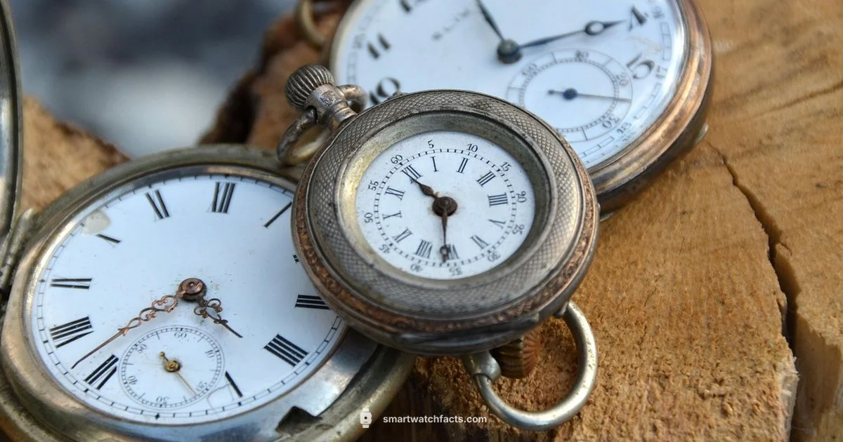 TicWatch Pro 3 GPS Review - Smartwatch Facts