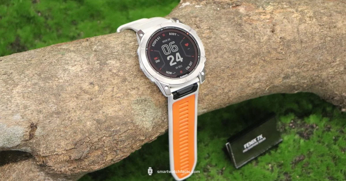 Calling on Watch - Smartwatch Facts