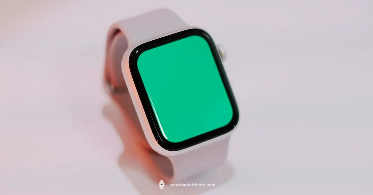 Display Issue Guide - Smartwatch Facts