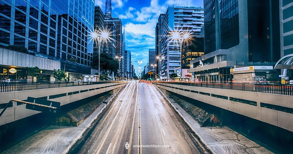 Metro PCS Smart Watch - Smartwatch Facts