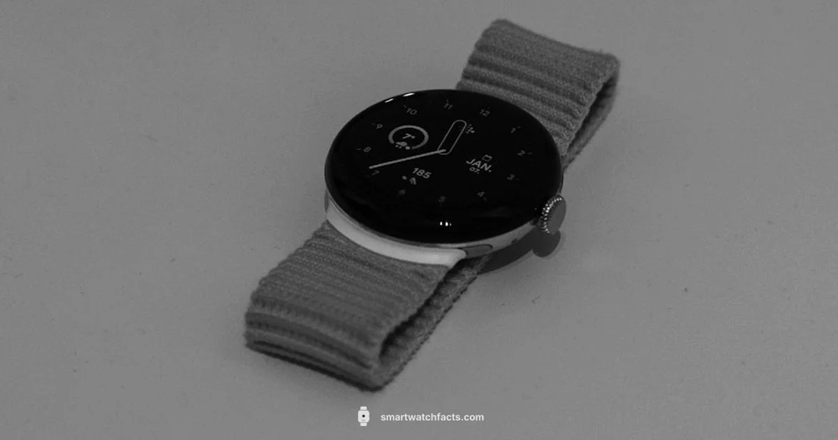 Android Price Guide - Smartwatch Facts