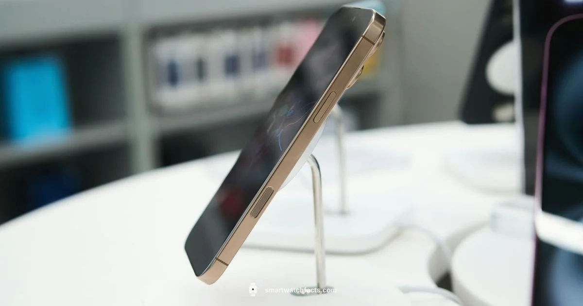 USA Smartwatch Brands - Smartwatch Facts