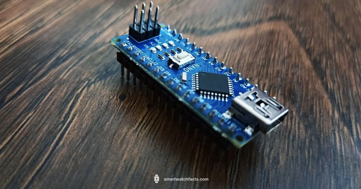 Build Your Smartwatch - Smartwatch Facts