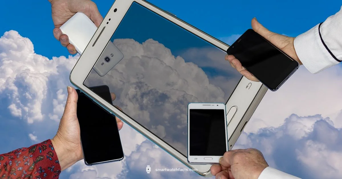 4G LTE Smartwatch - Smartwatch Facts