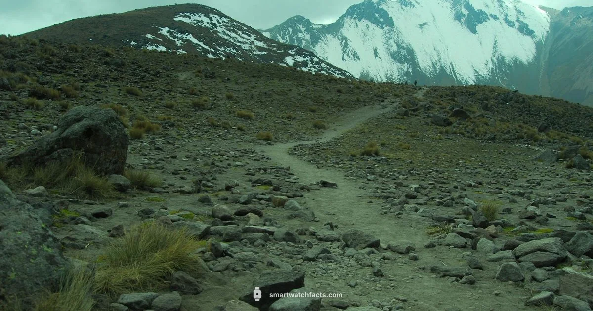 Hiking Watch Guide Hiking Watch Guide - Smartwatch Facts