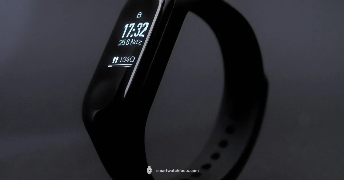 Fitness Tracking Watch - Smartwatch Facts
