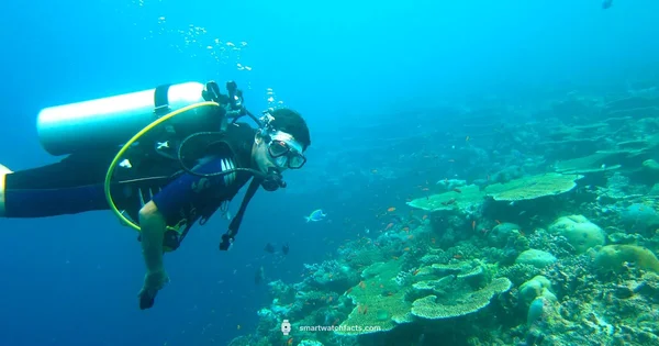 Scuba Smartwatch Guide - Smartwatch Facts