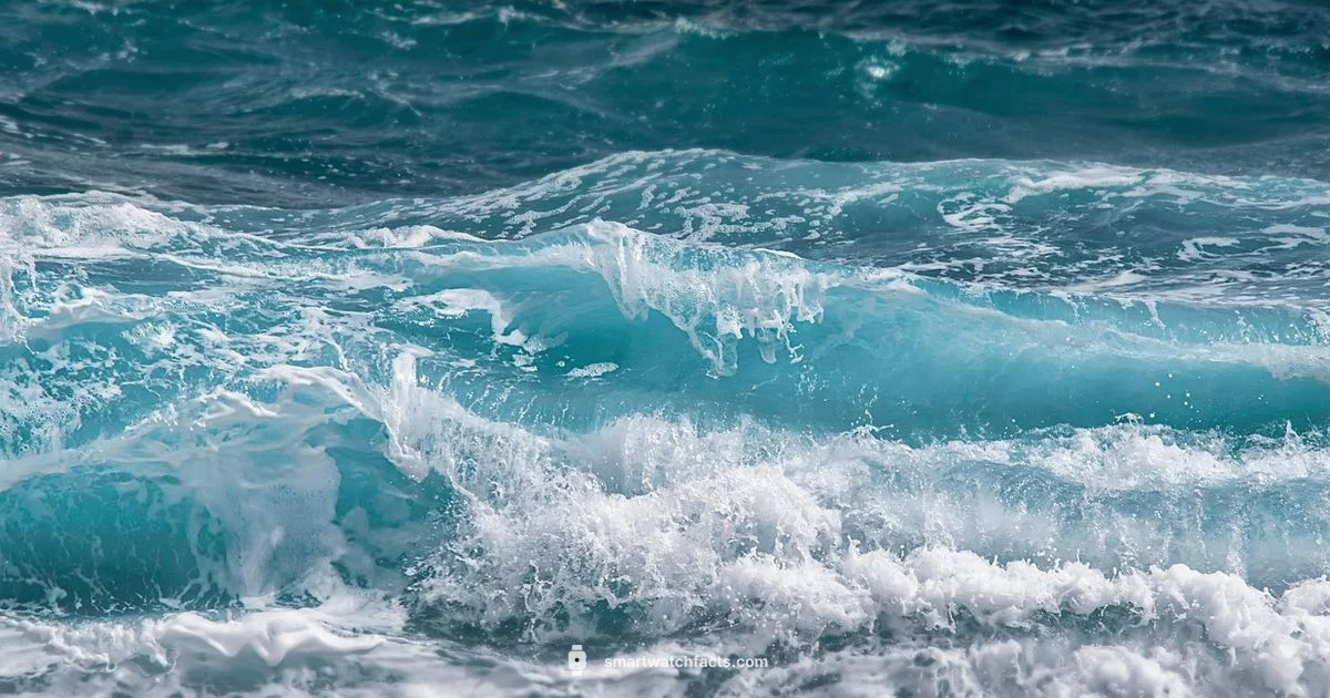 Boat Wave Lite Review - Smartwatch Facts