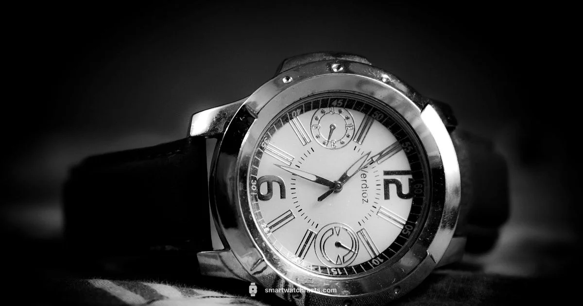 Smart Watch Black Guide Smart Watch Black Guide - Smartwatch Facts