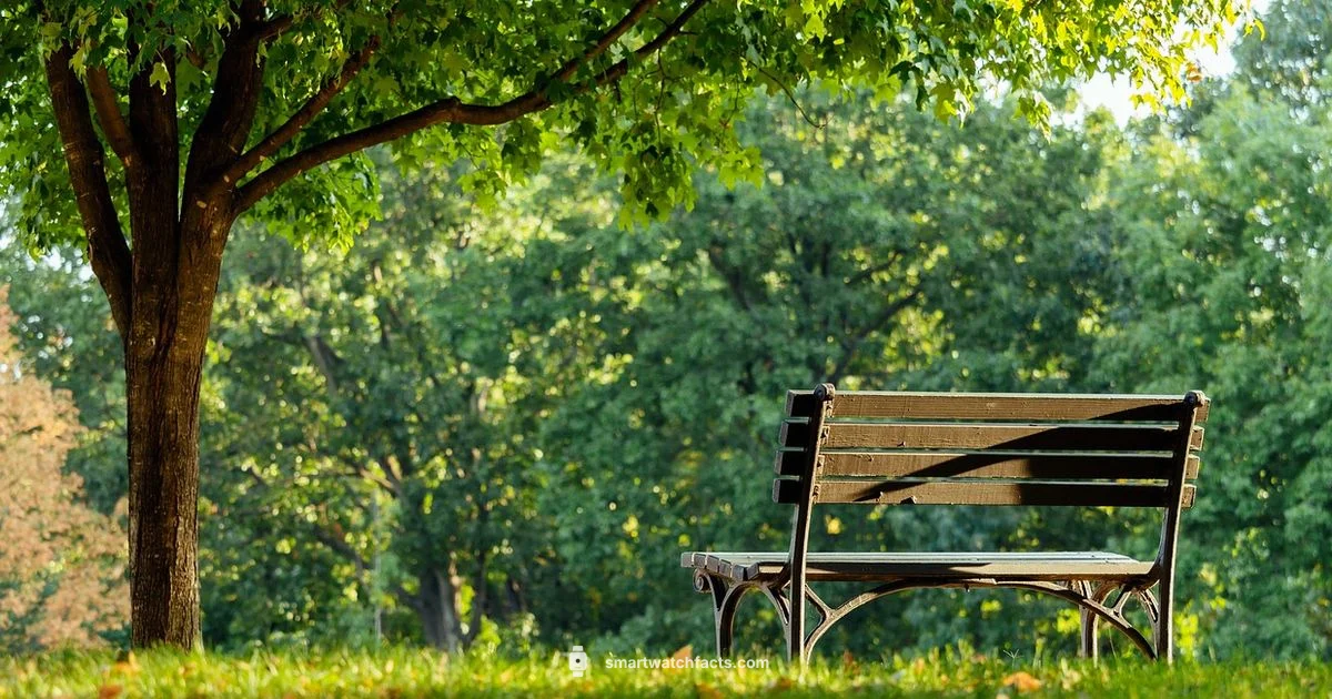 Budget Picks 2026 Budget Picks 2026 - Smartwatch Facts