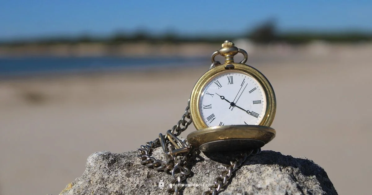 Cross Platform Wearable - Smartwatch Facts