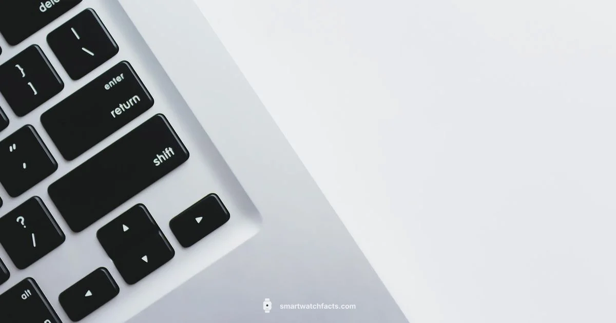 Log Data Watch - Smartwatch Facts