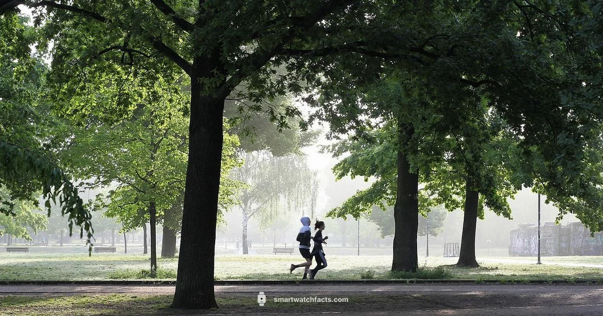 Top Smartwatch Picks Top Smartwatch Picks - Smartwatch Facts