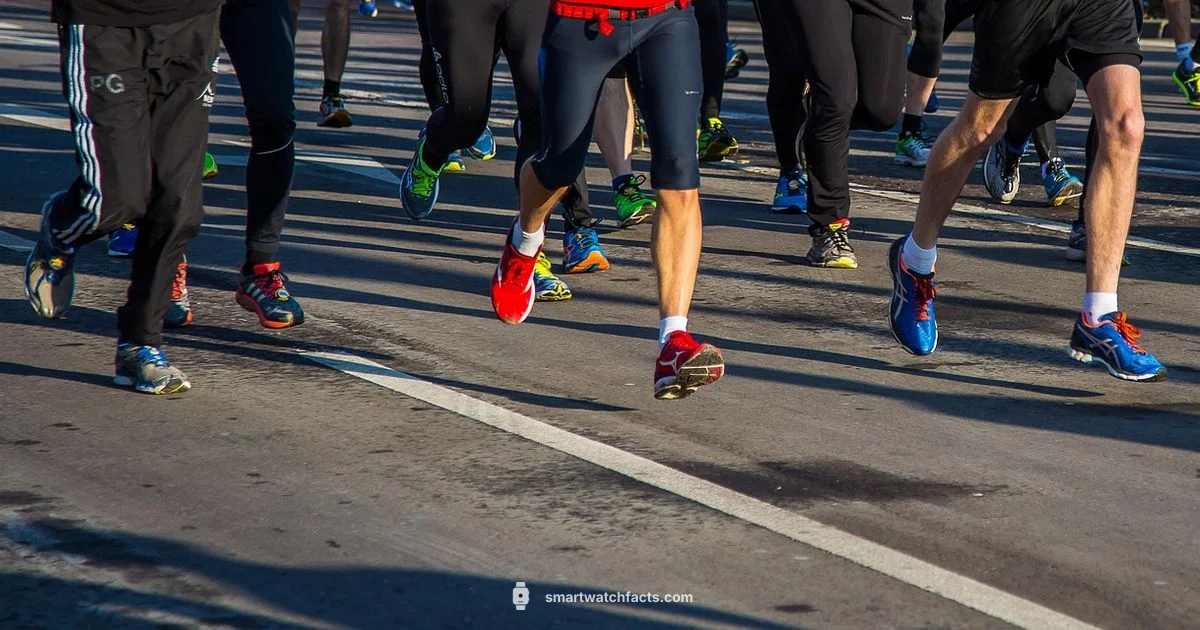 Phoenix on the Wrist - Smartwatch Facts