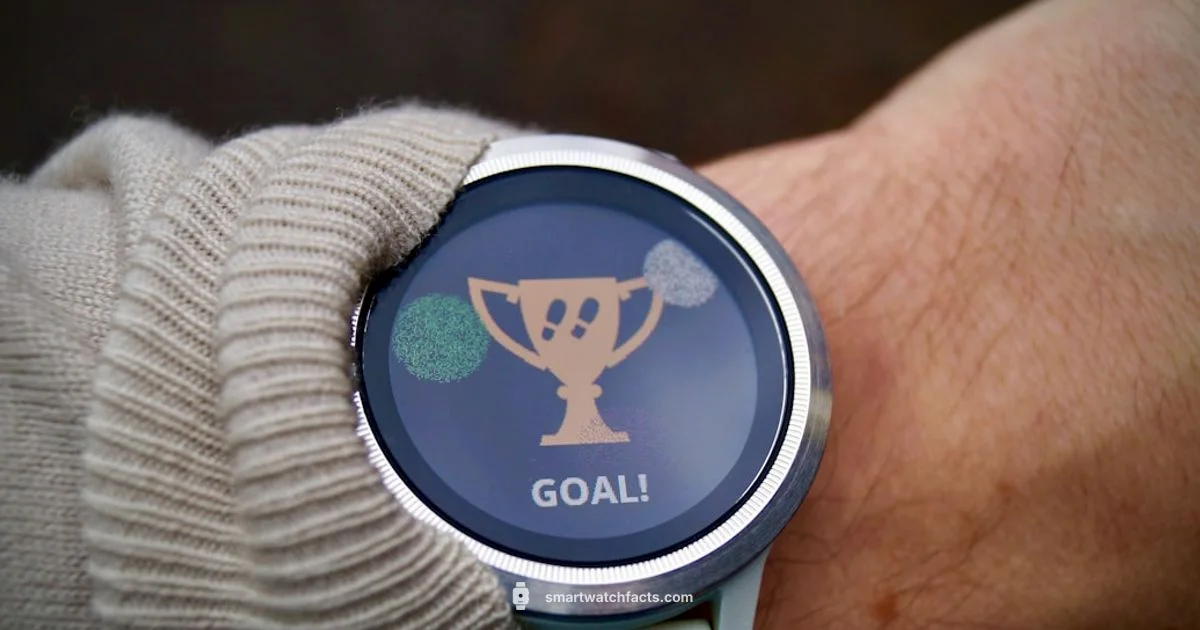 Garmin Vivoactive3 Overview Garmin Vivoactive3 Overview - Smartwatch Facts