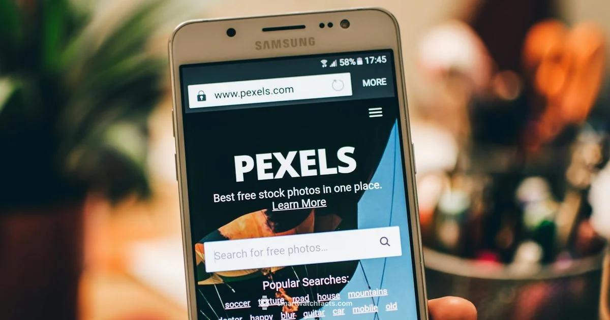 Identify Model Identify Model - Smartwatch Facts