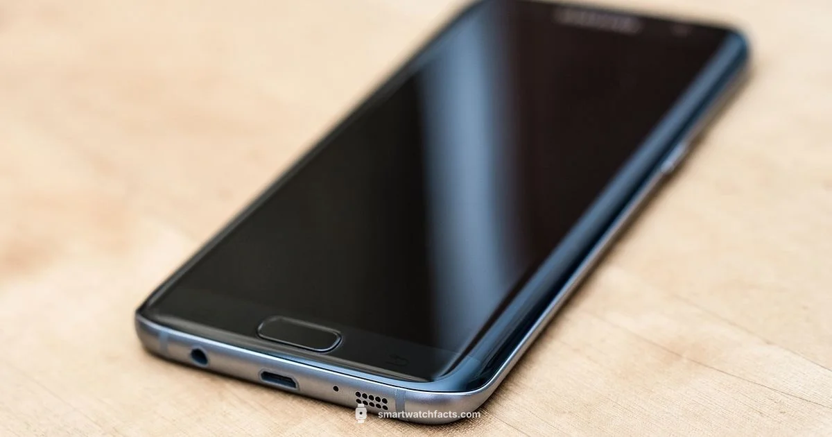 Next-Gen Smartwatches - Smartwatch Facts