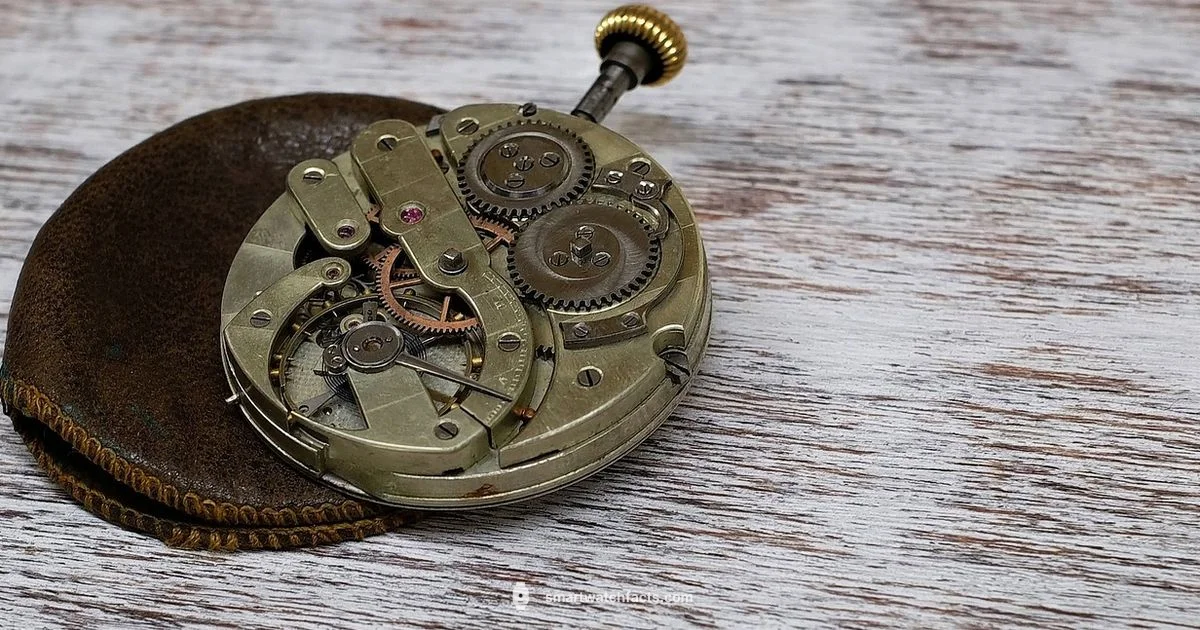 Cute Smart Watch Guide - Smartwatch Facts