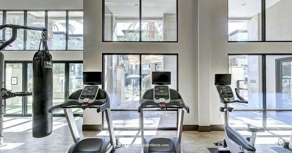 TicWatch GTX Guide - Smartwatch Facts