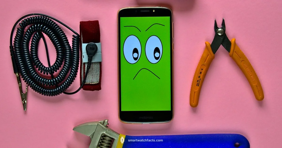 Band Replacement - Smartwatch Facts