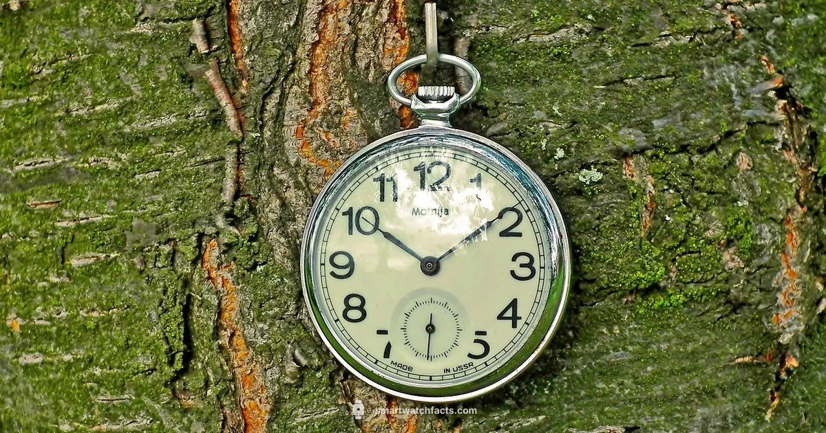 iColmi Overview - Smartwatch Facts