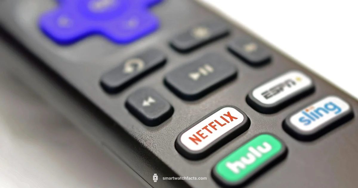 Aerial Free TV - Smartwatch Facts