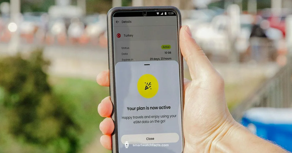 eSIM Ready eSIM Ready - Smartwatch Facts