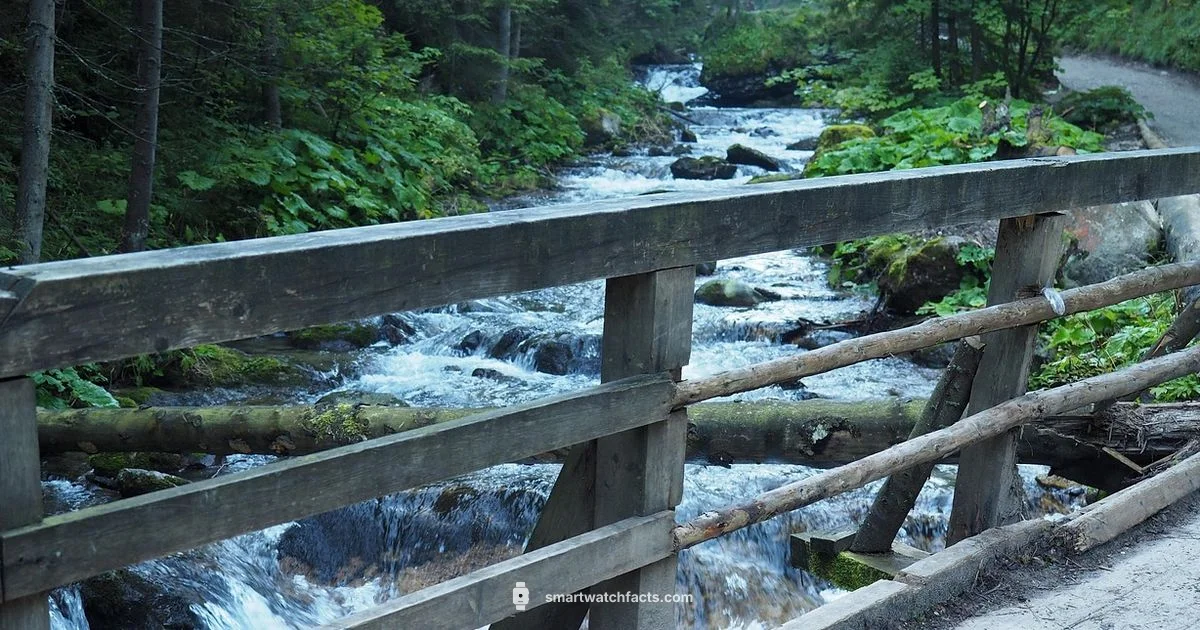 Garmin-like Watch Garmin-like Watch - Smartwatch Facts