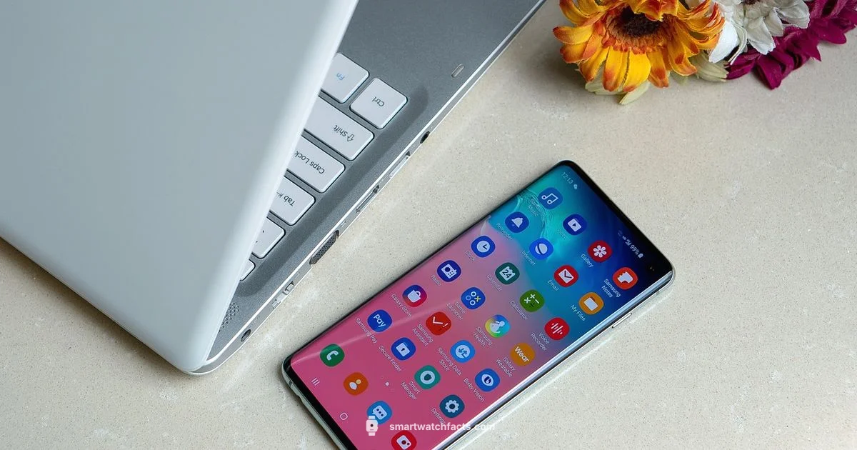 S8 Watch Guide - Smartwatch Facts