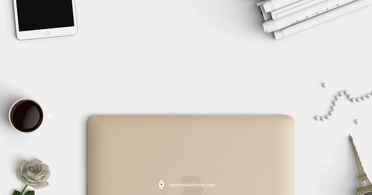 Clean Smart Watch Care - Smartwatch Facts