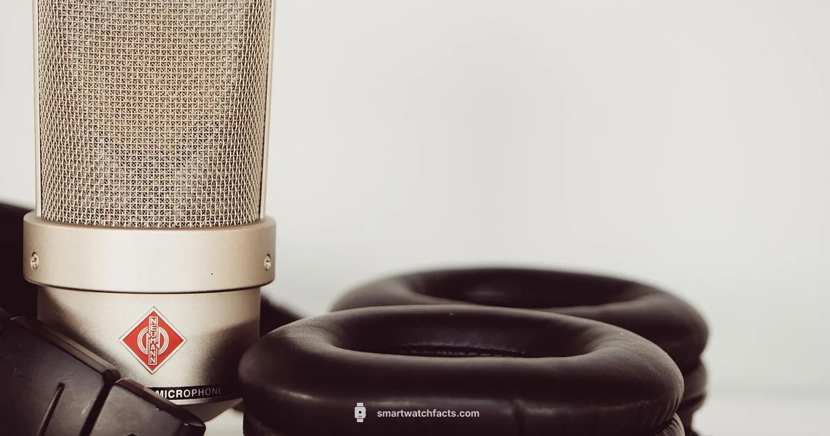 Voice Capture on Wrist - Smartwatch Facts